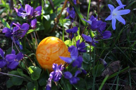 Téléchargez les photos : Un oeuf de Pâques de couleur violette - en image libre de droit