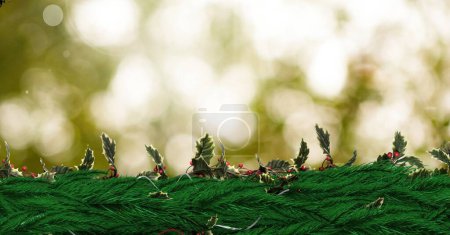 Photo for Christmas wreath and sunlight, beautiful festive Christmas card - Royalty Free Image