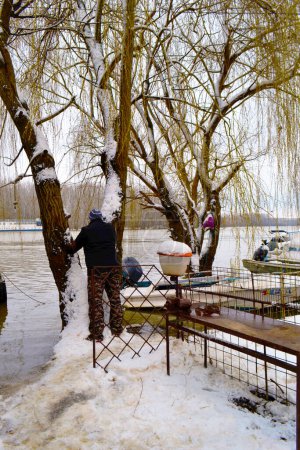 Téléchargez les photos : Comment voir la rivière Borcea en hiver à travers la fenêtre des saules - en image libre de droit