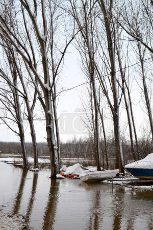 Foto de Barcos inmovilizados en la zona de inundación del prado del brazo de Borcea - Imagen libre de derechos