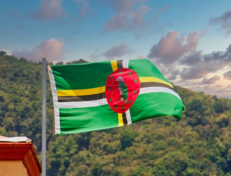 Foto de Bandera de Dominica ondeando contra colinas tropicales - Imagen libre de derechos