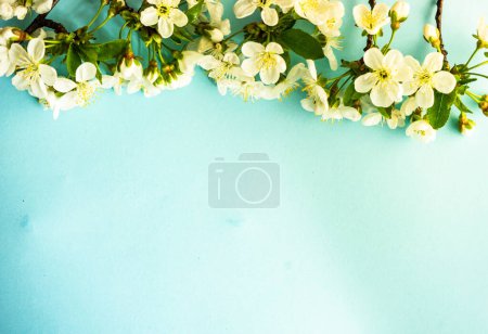 Foto de Fondo floral elegante. Hermosa flor - Imagen libre de derechos