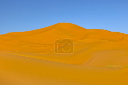 Foto de Sahara vista panorámica del desierto - Imagen libre de derechos
