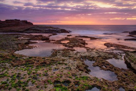 Photo for "Coastal dawn skies at low tide exposing the rocky reef" - Royalty Free Image