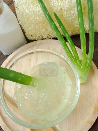 Téléchargez les photos : Vue rapprochée de l'Aloe vera bio vert frais - en image libre de droit