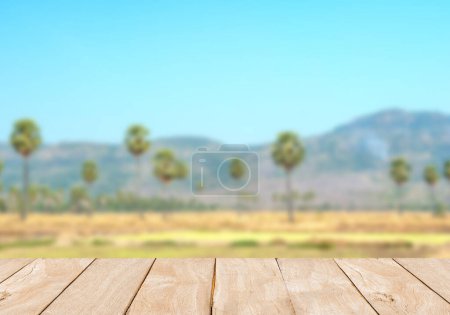 Photo for Wooden boards and blurred background - Royalty Free Image