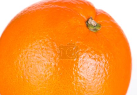 Photo for Orange fruit on white background - Royalty Free Image