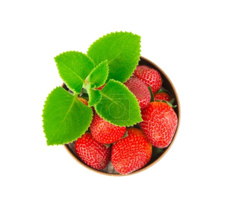 Foto de Vista de cerca de deliciosas fresas frescas - Imagen libre de derechos
