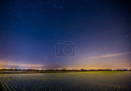 Photo for Nightscape of paddy field - Royalty Free Image