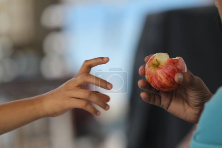 Foto de Hombre sosteniendo una manzana roja madura en su mano - Imagen libre de derechos