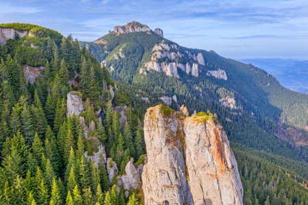 Téléchargez les photos : Forêt verte sur montagne rocheuse - en image libre de droit