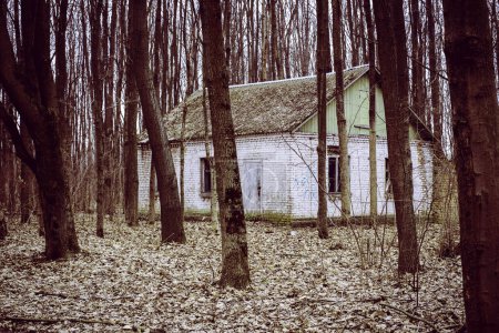 Téléchargez les photos : Ancienne maison abandonnée dans les bois sombres - en image libre de droit