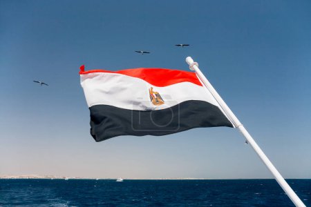 Téléchargez les photos : Le drapeau national de l'Egypte bat dans le vent au-dessus de la mer Rouge - en image libre de droit