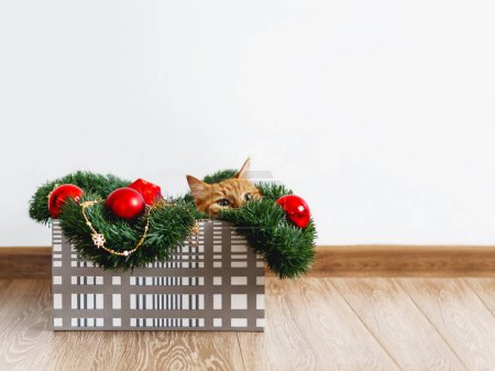Foto de Lindo gato jengibre acostado en caja con decoraciones de Navidad y Año Nuevo. - Imagen libre de derechos