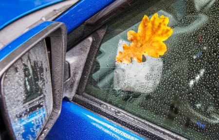 Téléchargez les photos : Feuille de chêne jaune sur verre mouillé d'une voiture - en image libre de droit