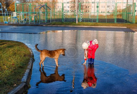 Téléchargez les photos : Fille debout dans une piscine jouer avec le chien - en image libre de droit