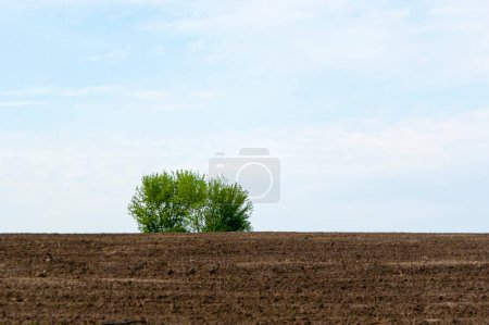 Photo for View of Plowed field - Royalty Free Image