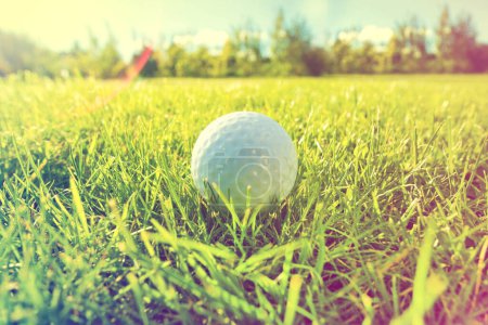 Téléchargez les photos : Boule de golf sur l'herbe gros plan - en image libre de droit