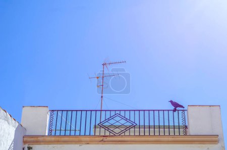Téléchargez les photos : Balcon élégant avec balustrade en métal, éléments architecturaux solides - en image libre de droit