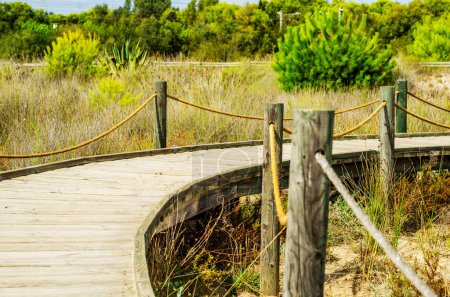 Photo for Wooden boardwalk in the dunes leading to the sandy beach - Royalty Free Image