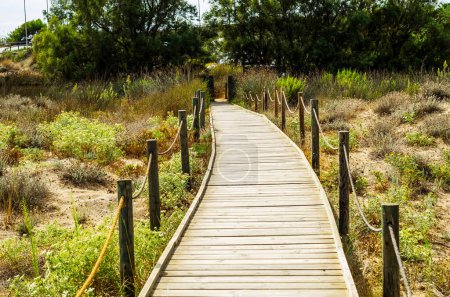 Photo for Wooden boardwalk in the dunes leading to the sandy beach - Royalty Free Image
