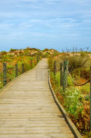 Foto de Paseo marítimo de madera en las dunas que conduce a la playa de arena - Imagen libre de derechos