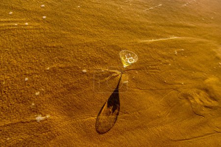 Téléchargez les photos : Boisson en verre de martini lavé à l'eau de mer sur une plage de sable - en image libre de droit
