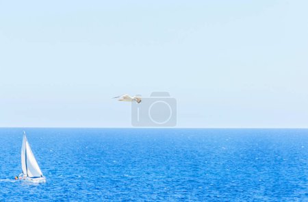 Photo for Beautiful view of sea scenery. Nature, travel background - Royalty Free Image