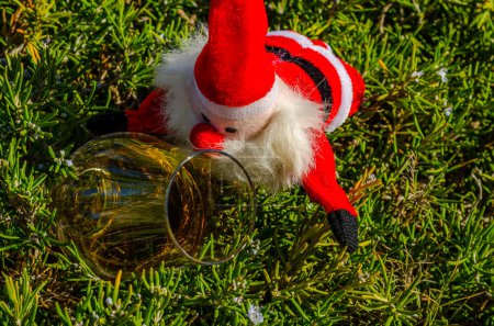 Foto de Peluche de Santa Claus con whisky de malta simple en vidrio en la planta - Imagen libre de derechos