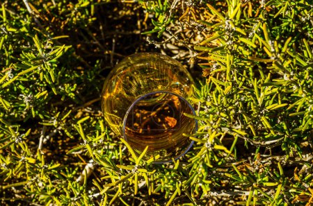 Téléchargez les photos : Verre de whisky single malt en verre sur la roche - en image libre de droit