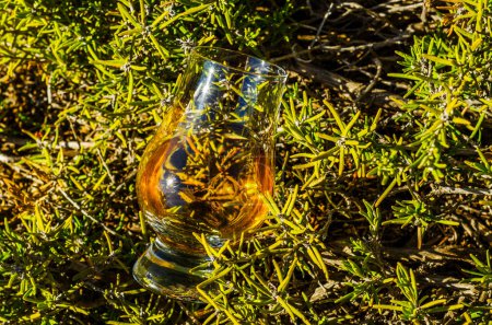 Photo for Glass of single malt whisky in glass on the rock - Royalty Free Image