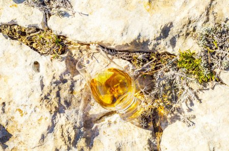 Foto de Vaso de whisky de malta simple en vidrio sobre la roca - Imagen libre de derechos