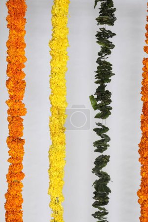 Téléchargez les photos : Fleurs sur fond blanc, fête indienne de célébration hindoue - en image libre de droit