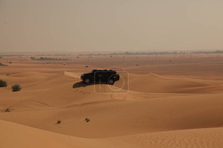 Foto de Arena seca en el desierto - Imagen libre de derechos