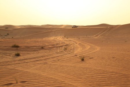 Téléchargez les photos : Beau fond de sable naturel - en image libre de droit