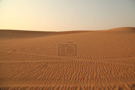 Téléchargez les photos : Sable sec dans le désert - en image libre de droit