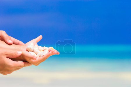 Foto de Primer plano de las manos sosteniendo hermosas conchas marinas fondo el océano - Imagen libre de derechos