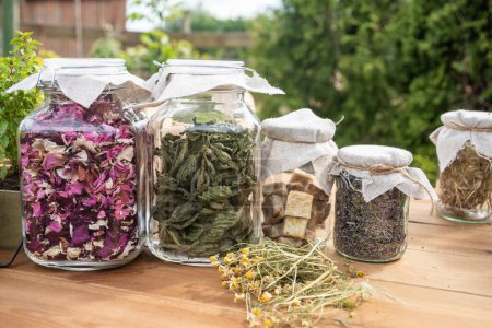 Photo for Dried herbs: mint leaves and rose petals in glass jars - Royalty Free Image