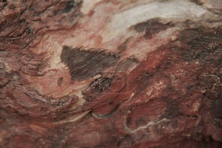 Foto de Fondo de textura de piedra abstracta, vista de cerca - Imagen libre de derechos