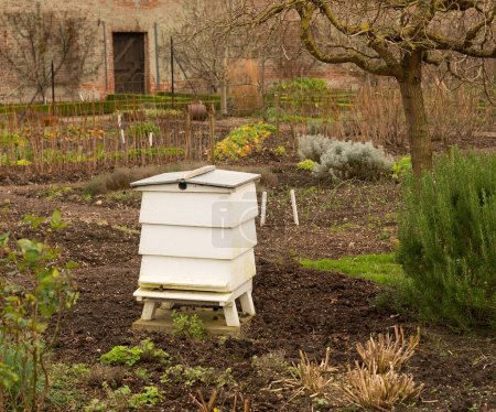 Photo for Beehive in Walled Garden - Royalty Free Image