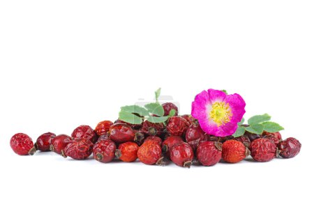 Photo for Small pile of hips and dog rose flowers - Royalty Free Image
