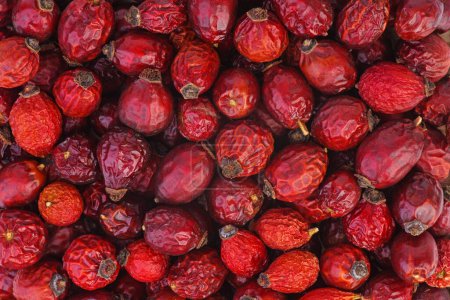 Photo for Dried red rose hips texture background - Royalty Free Image