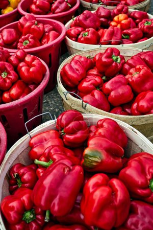 Photo for Red pepper in baskets - Royalty Free Image