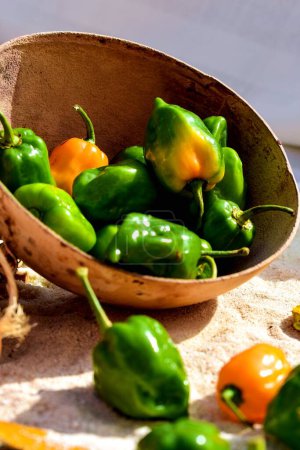 Photo for Green peppers in a bowl - Royalty Free Image