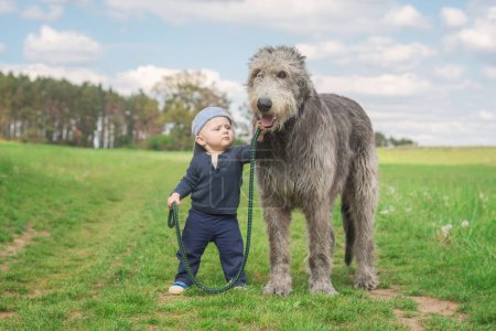 Photo for Little boy walking his dog - Royalty Free Image