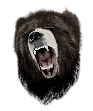 Téléchargez les photos : Grizzli ours - animal totémique - en image libre de droit