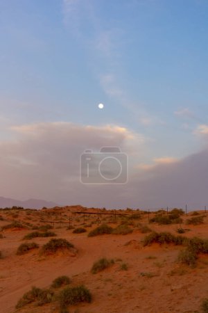 Foto de Atardecer en las dunas de arena del desierto de los Emiratos Árabes Unidos - Imagen libre de derechos