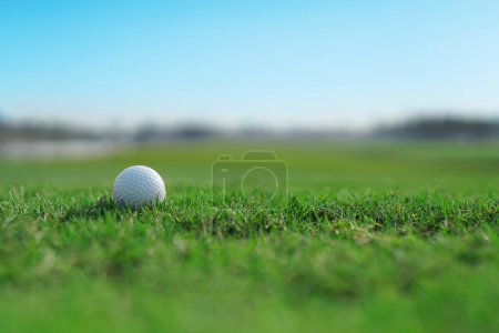 Foto de Pelota de golf en una hierba de fairway verde - Imagen libre de derechos