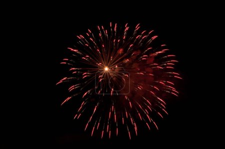 Photo for Colorful fireworks in the black night sky - Royalty Free Image