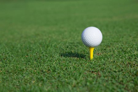 Foto de "pelota de golf en un tee en una hierba verde
" - Imagen libre de derechos